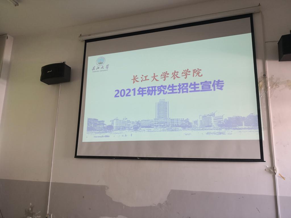 ok138太阳集团