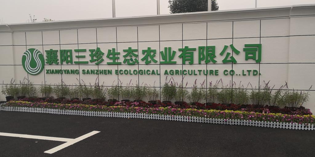 ok138太阳集团