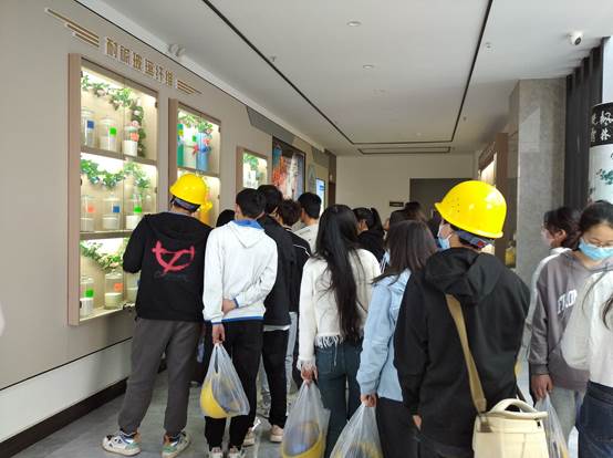 ok138太阳集团