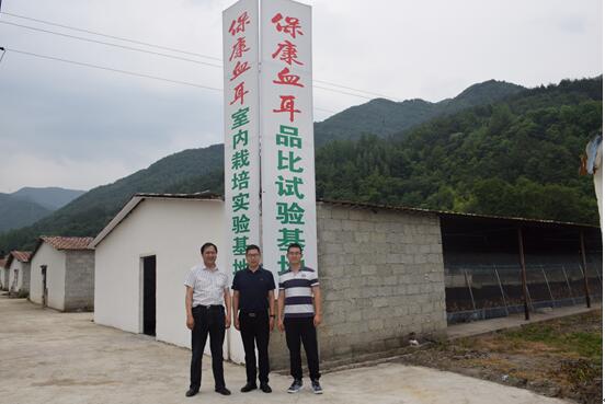 ok138太阳集团