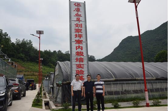 ok138太阳集团