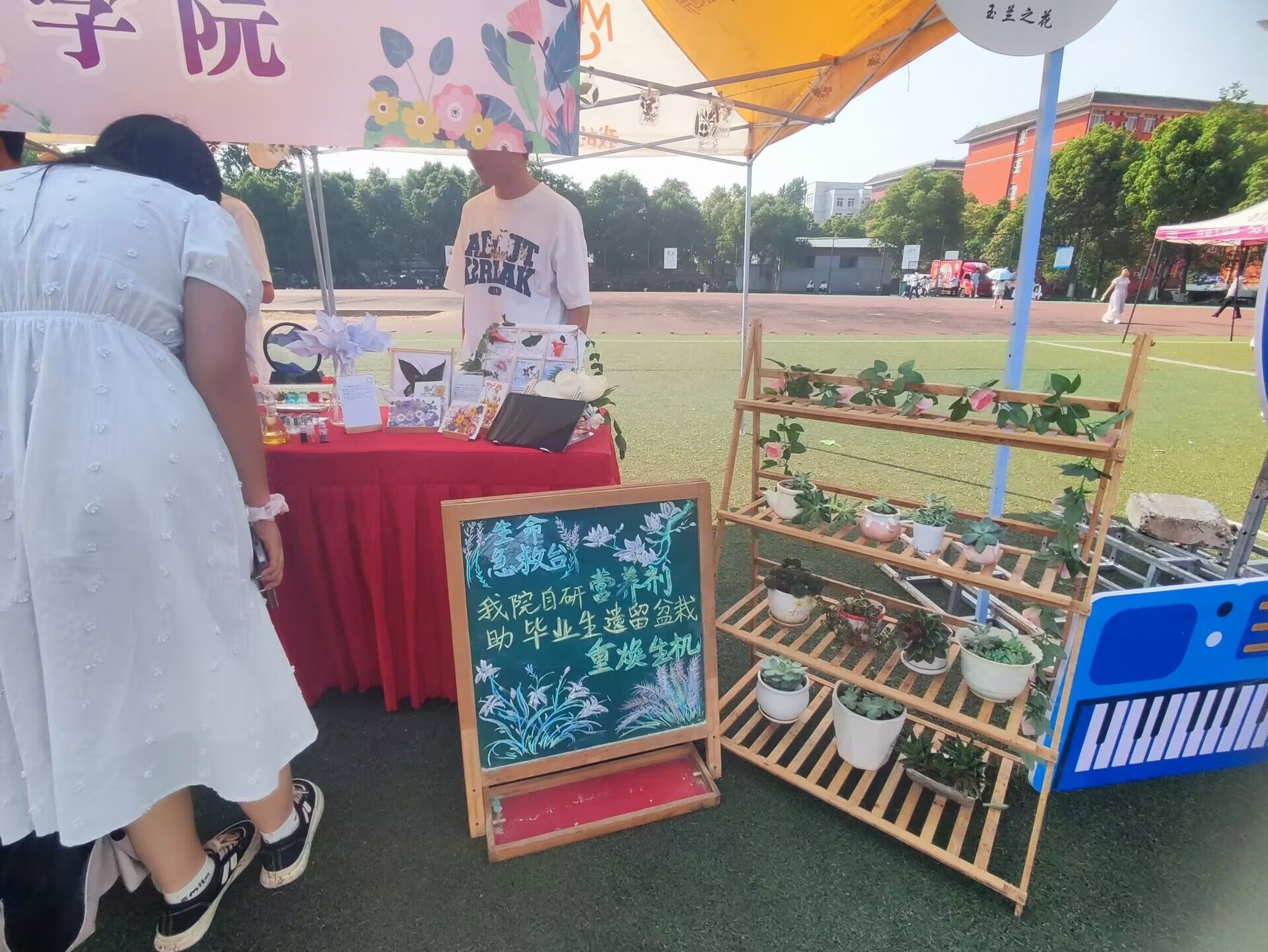 ok138太阳集团