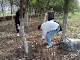 ok138太阳集团